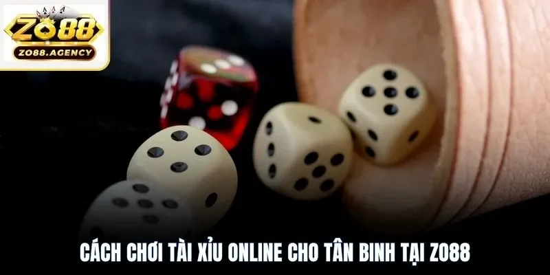 Cách chơi tài xỉu online cho tân binh tại Zo88