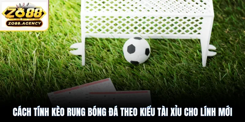 Cách tính kèo rung bóng đá theo kiểu tài xỉu cho lính mới