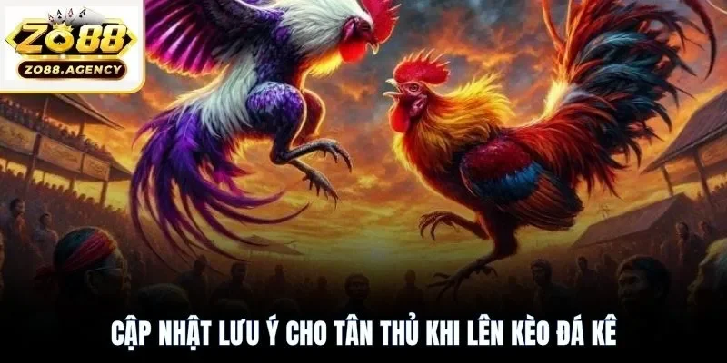 Cập nhật lưu ý cho tân thủ khi lên kèo đá kê
