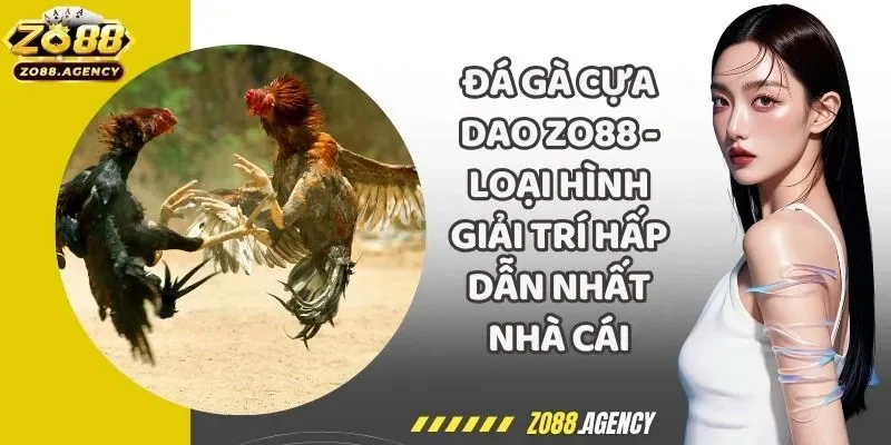 Đá Gà Cựa Dao Zo88 - Loại Hình Giải Trí Hấp Dẫn Nhất Nhà Cái