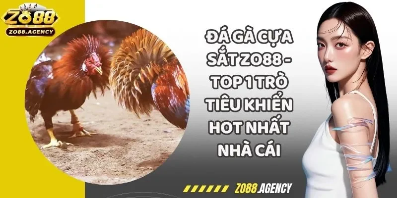 Đá Gà Cựa Sắt Zo88 - Top 1 Trò Tiêu Khiển Hot Nhất Nhà Cái