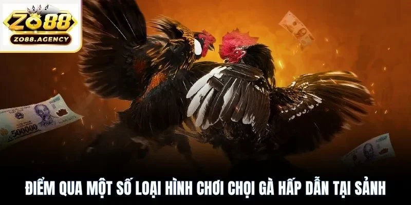 Điểm qua một số loại hình chơi chọi gà hấp dẫn tại sảnh