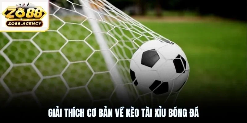 Giải thích cơ bản về kèo tài xỉu bóng đá