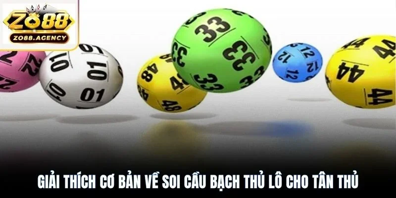 Giải thích cơ bản về soi cầu bạch thủ lô cho tân thủ