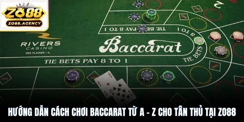 Hướng dẫn cách chơi Baccarat từ A - Z cho tân thủ tại Zo88
