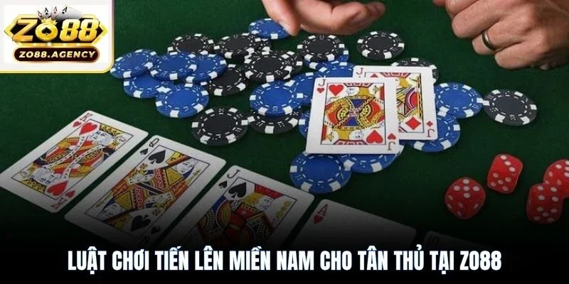 Luật chơi tiến lên miền Nam cho tân thủ tại Zo88