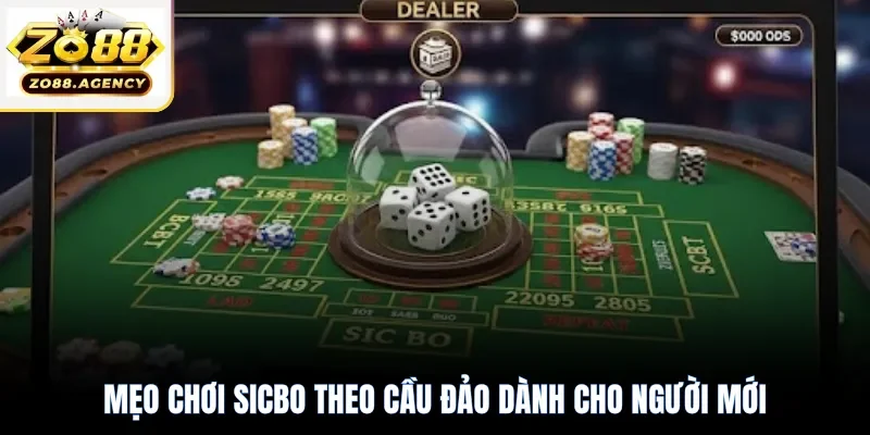 Mẹo chơi Sicbo theo cầu đảo dành cho người mới