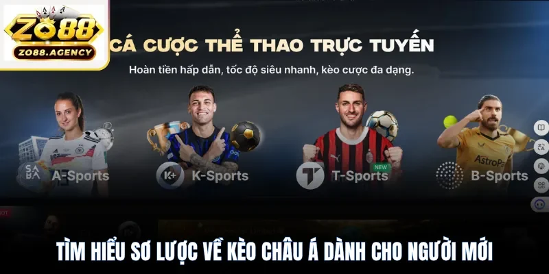 Tìm hiểu sơ lược về kèo châu Á dành cho người mới