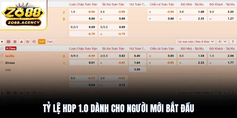 Tỷ lệ HDP 1.0 dành cho người mới bắt đầu